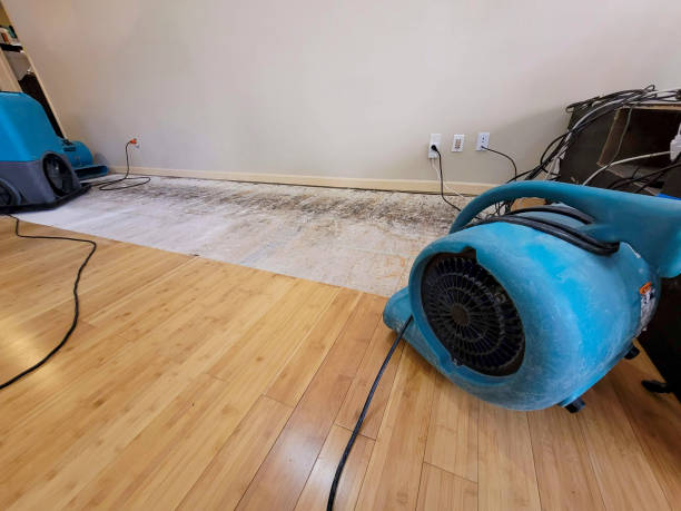 Professional Emergency Water Damage technician working in Milton, WA